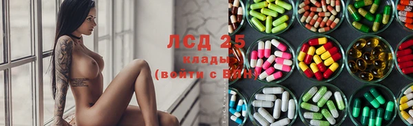 гидра Алзамай