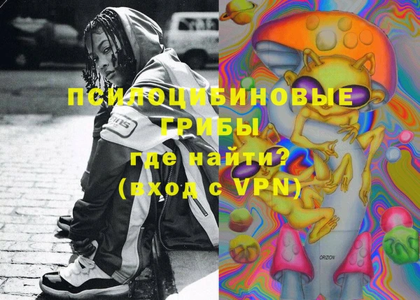 гидра Алзамай
