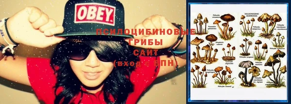 винт Лиски