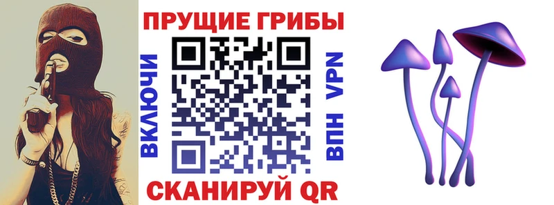 Галлюциногенные грибы MAGIC MUSHROOMS  купить  сайты  Новошахтинск 