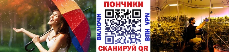 Бошки марихуана VHQ Новошахтинск